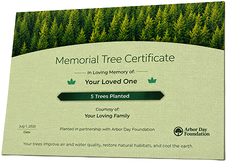 Plant Trees in Memory of Terrell Young
